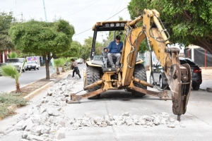 &iquest;Qu&eacute; tienen de malo los alimentos transg&eacute;nicos?
